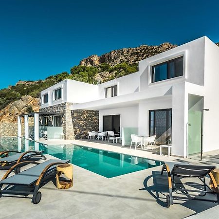 Villa Daniela & Apartments Koutsounari Exterior photo